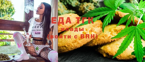 хмурый Новозыбков