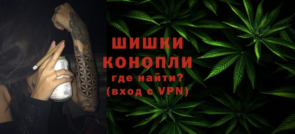 молекула духа Нефтекумск