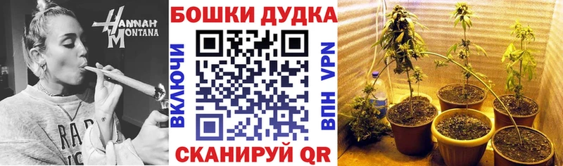 Бошки Шишки конопля  kraken зеркало  Балабаново  продажа наркотиков 